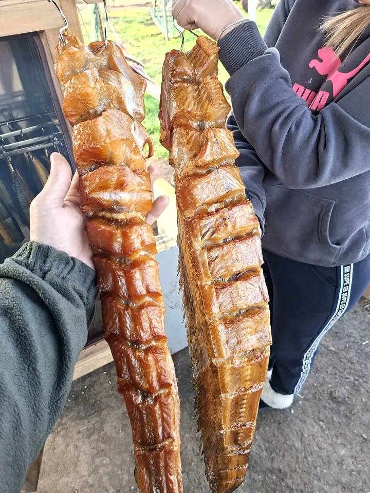 Duże kawałki wędzonego mięsa — wędzenie na gorąco, wędzarnia DREVOS Classic